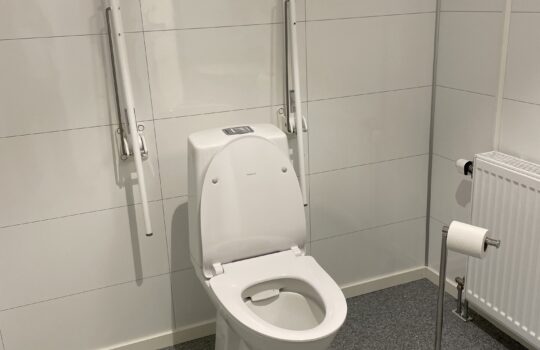 IMG 4564