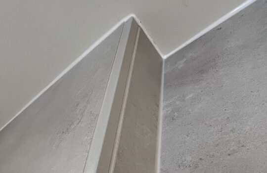 Image6